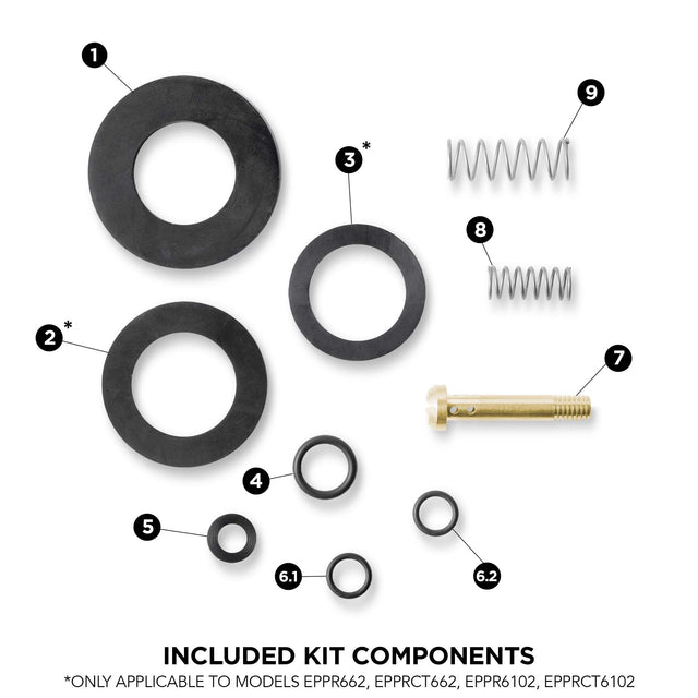 Barista Basics Complete Rinser Maintenance Kit, Countertop and Drop-In Rinsers