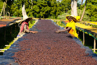 Ethiopia Natural